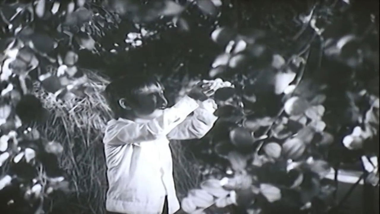 When Grandmother Is Away backdrop