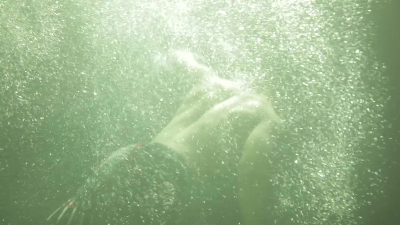 Glass Tunnel backdrop