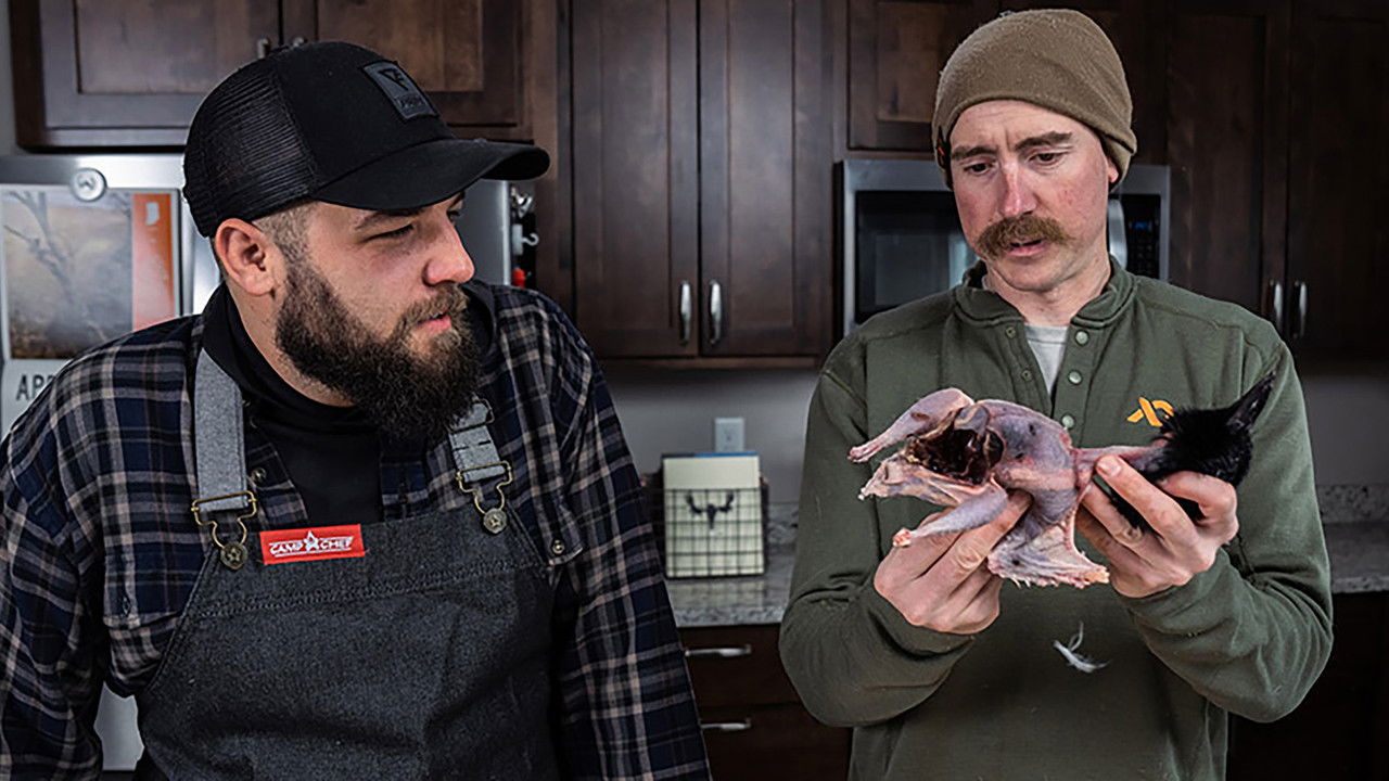 Pardon My Plate backdrop