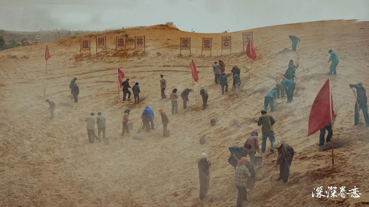 深深眷恋 backdrop