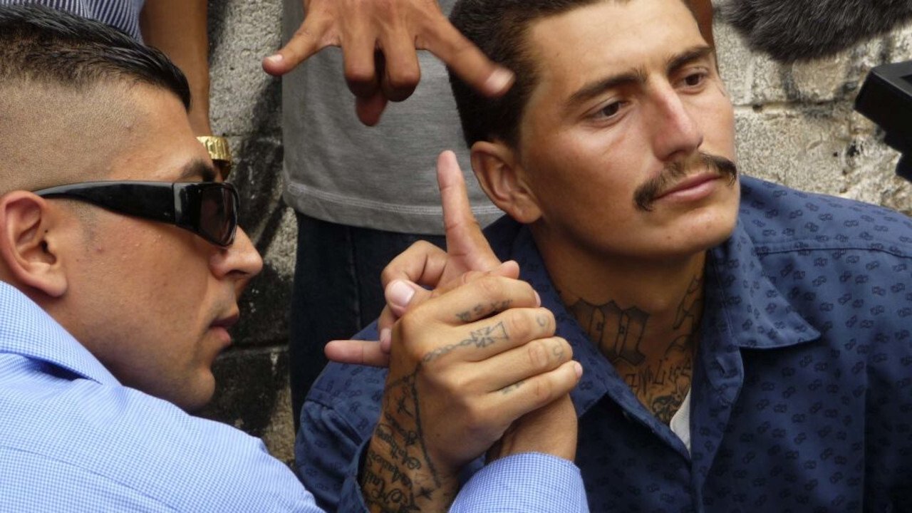 World's Most Dangerous Gang backdrop