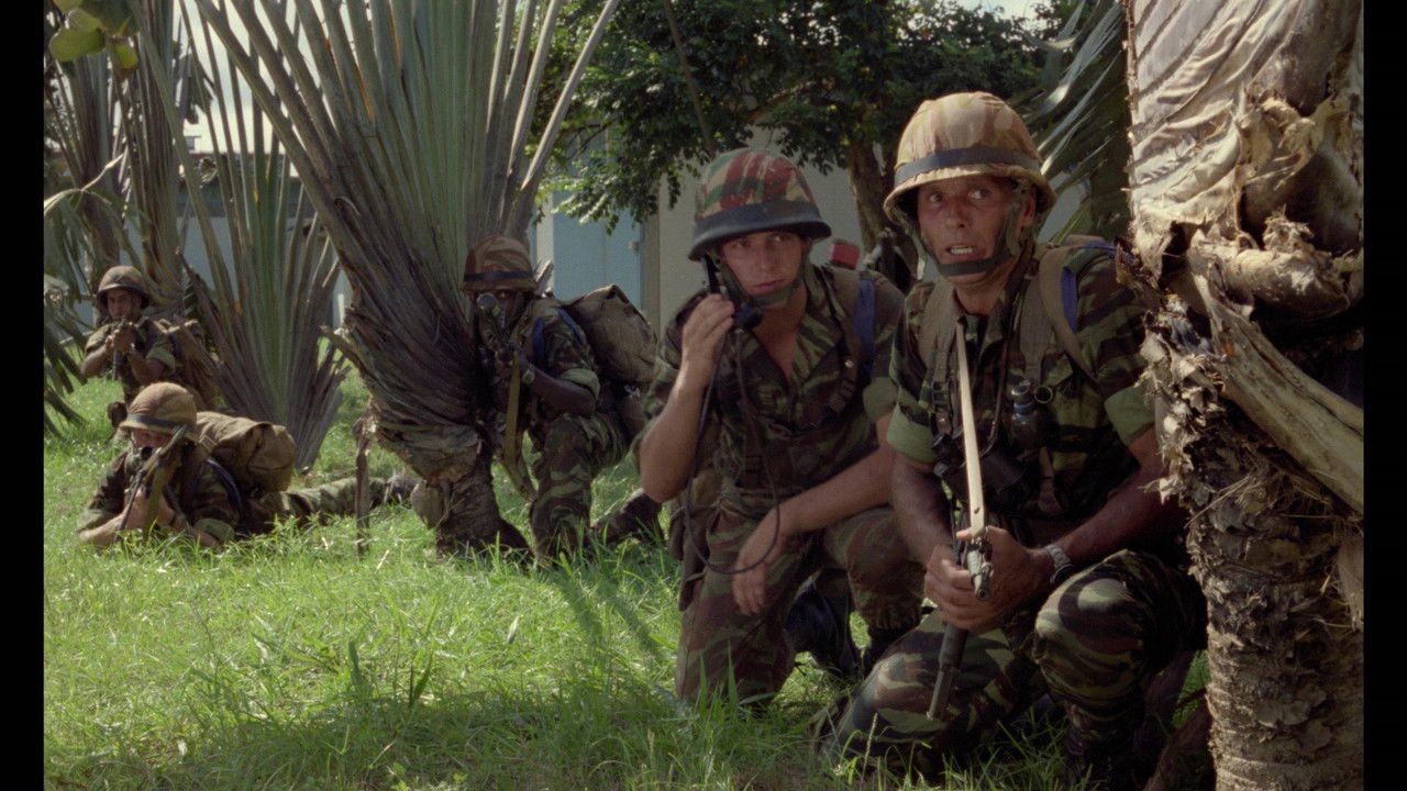 Operation Leopard backdrop