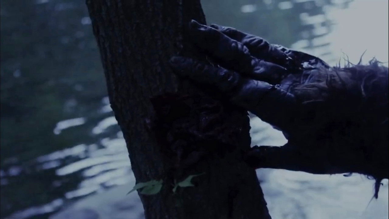 Black Water Creek backdrop