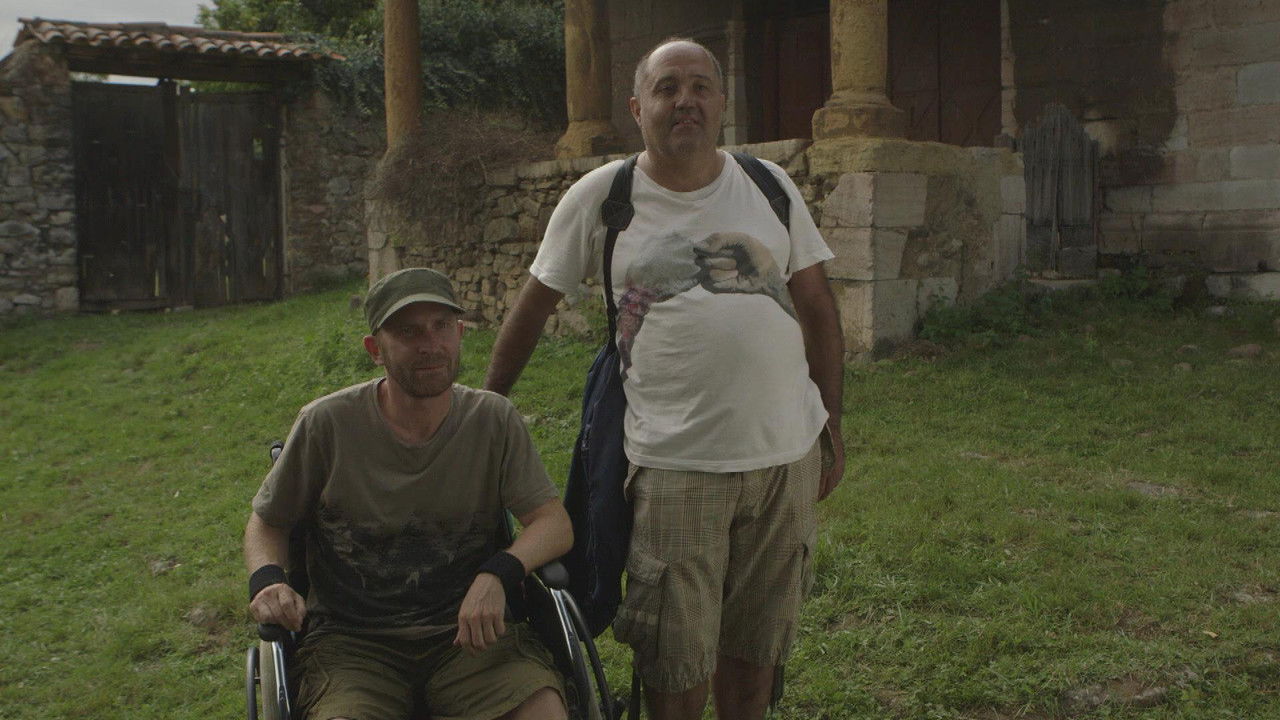 The disoriented backdrop