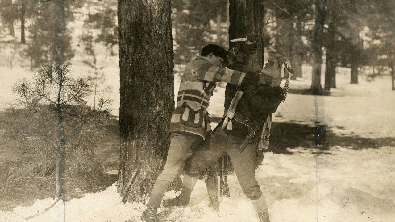 The Wilderness Trail backdrop