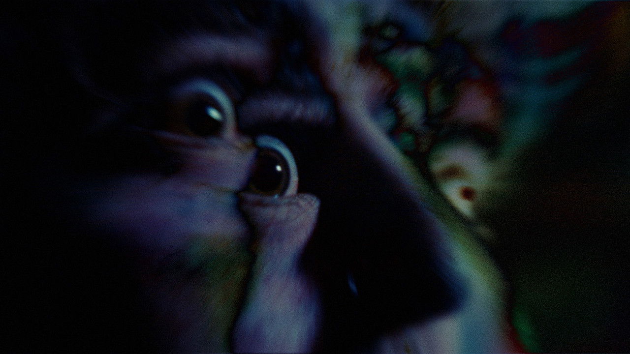 La Ciencia de los Sueños backdrop