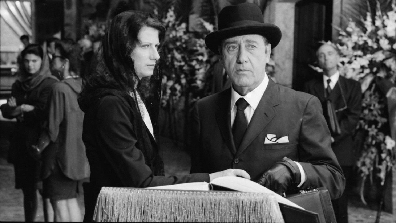 Assolto per aver commesso il fatto backdrop