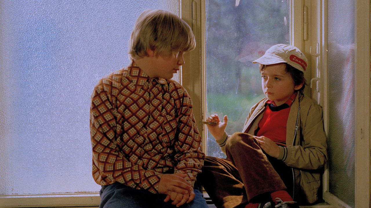 Pozdní léto backdrop