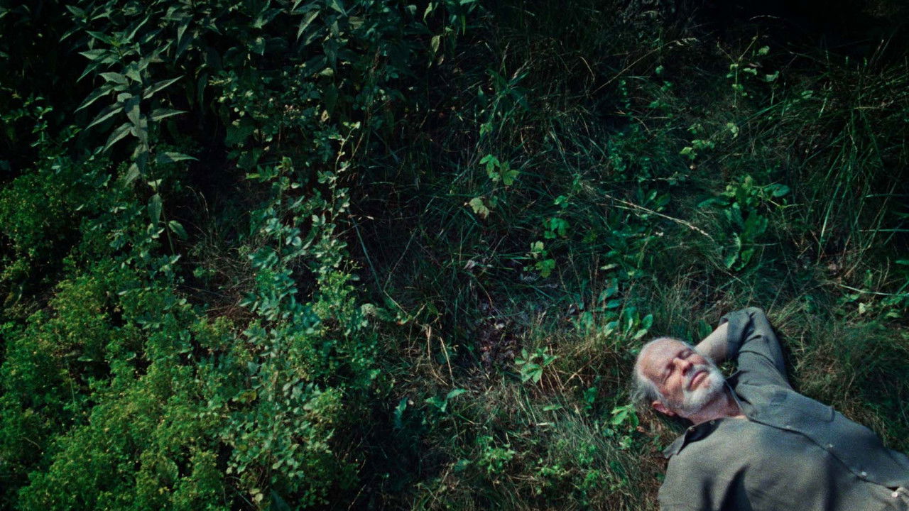 A Wolf in the Suburbs backdrop