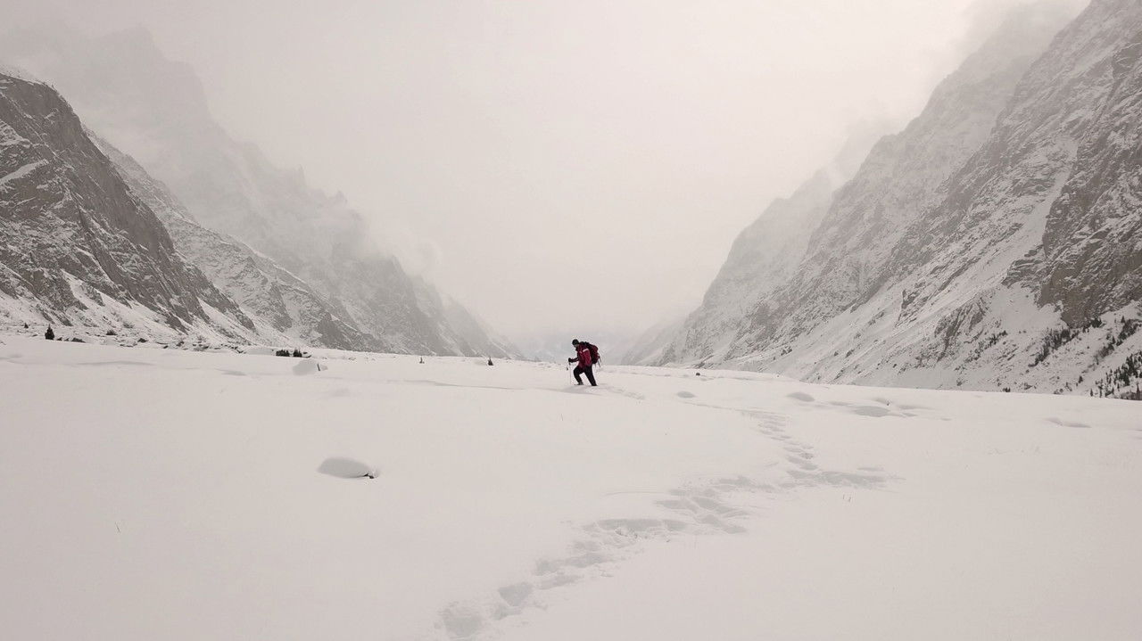 Beyond the Wetlands backdrop