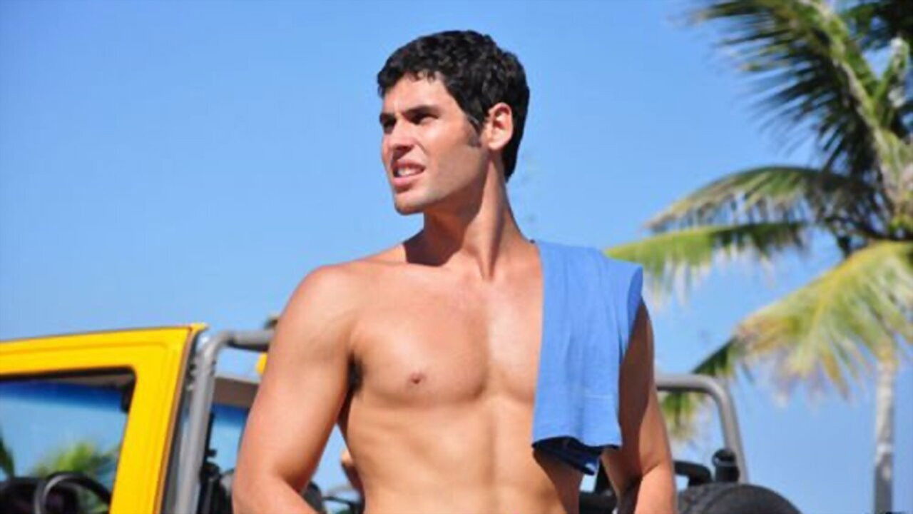 Any Stray Cat backdrop