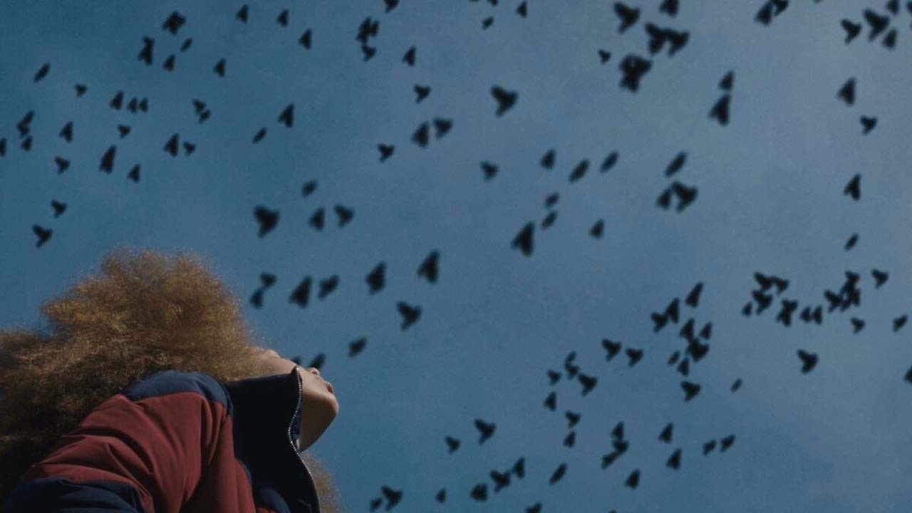 Last Minute backdrop