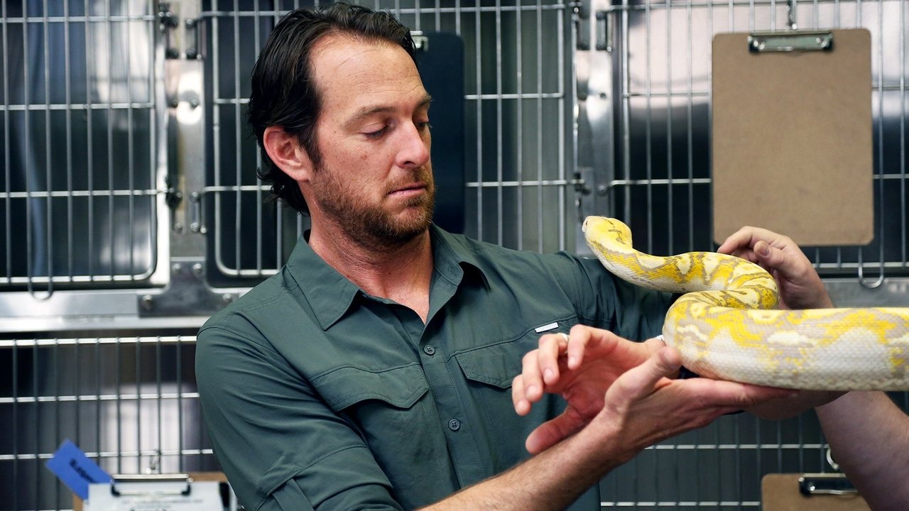 Jobs That Bite! backdrop