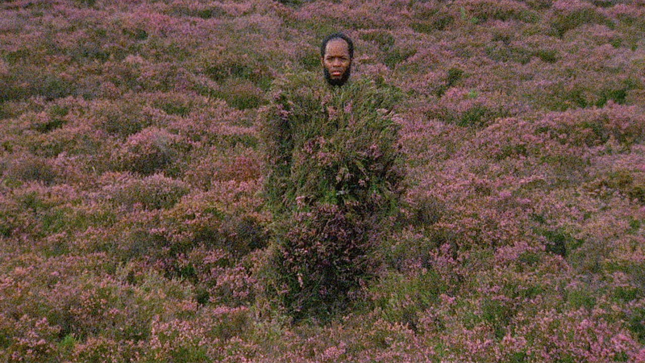 Hugh the Hunter backdrop