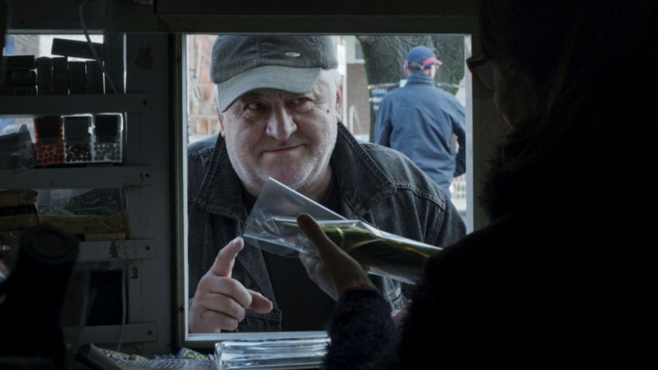 Through the Window backdrop