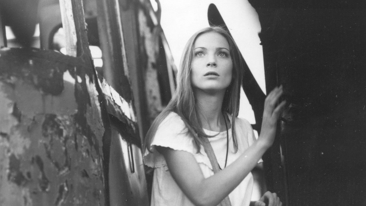 The Barrier backdrop