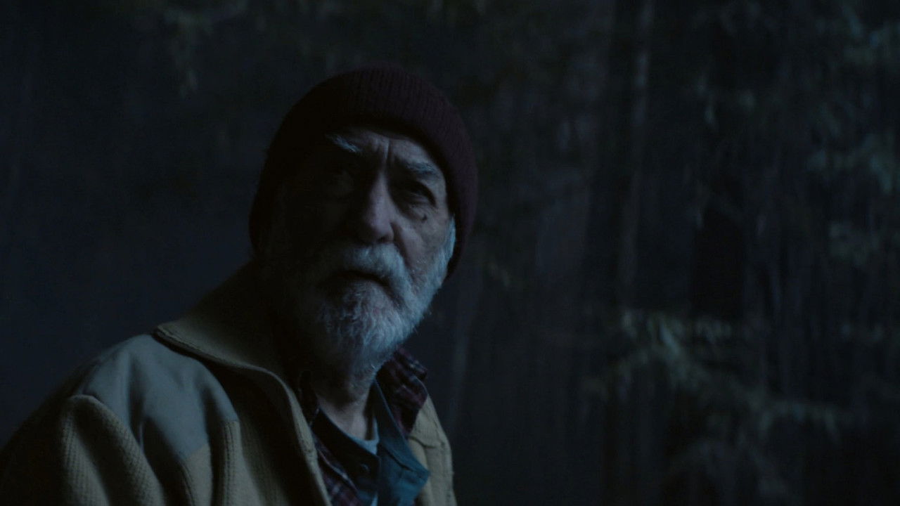 Where the pines lament backdrop