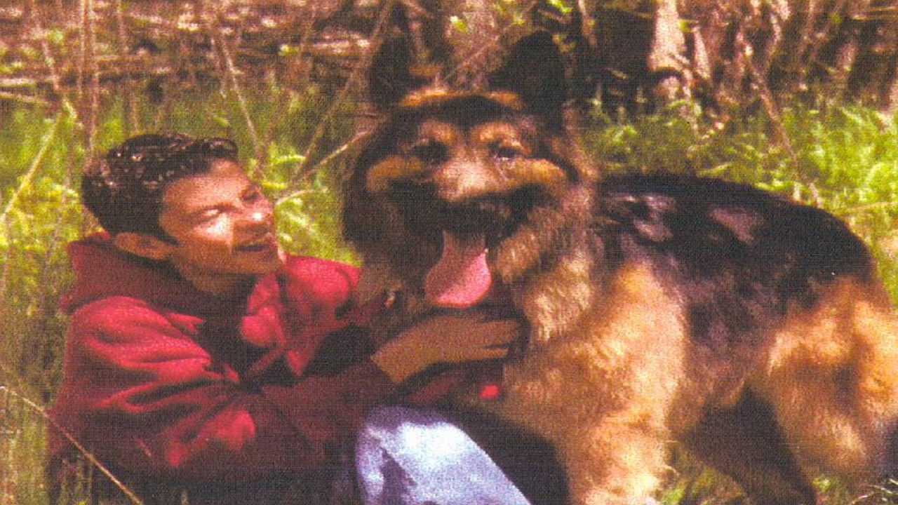 Bring Him Home backdrop