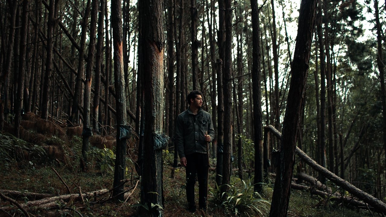 Flesh and Blood backdrop