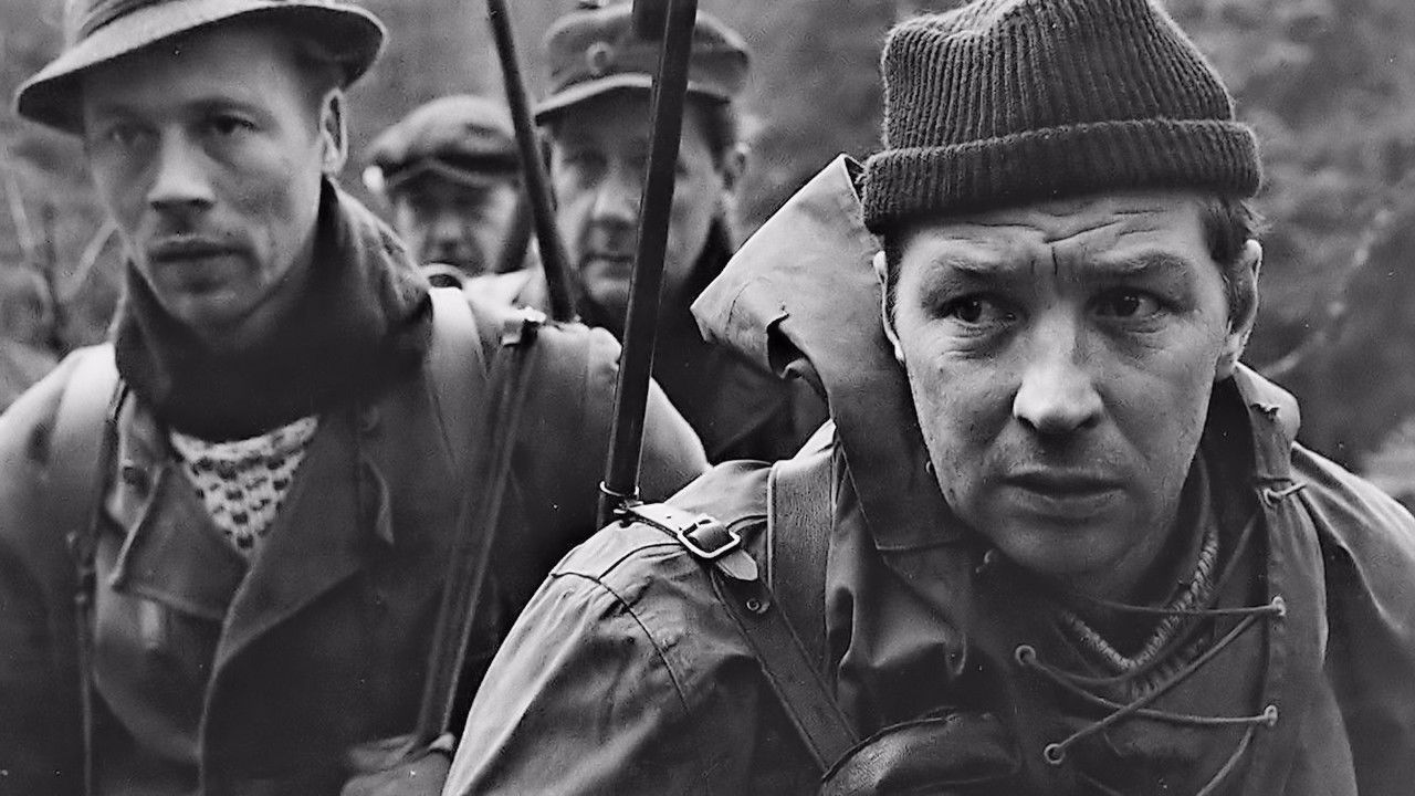 The Chasers backdrop