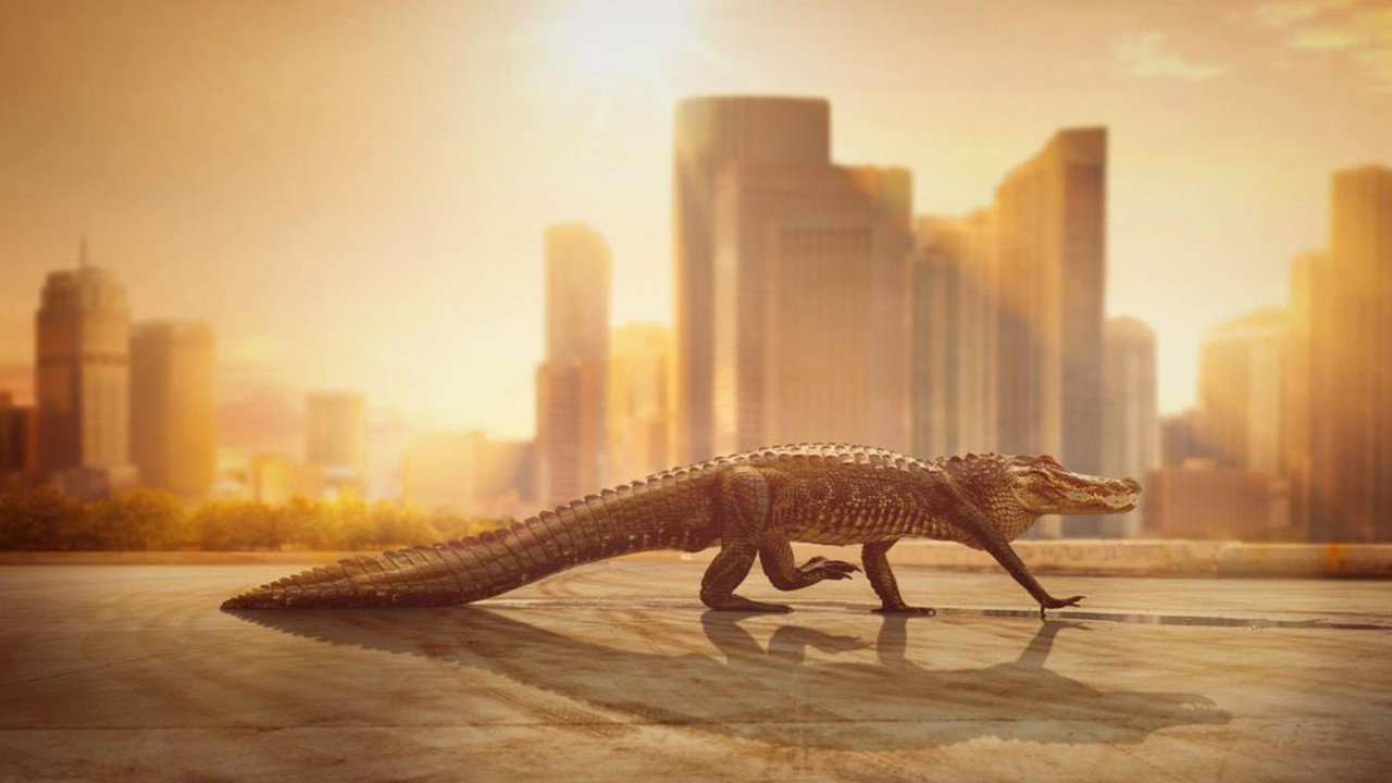 Cities: Nature's New Wild backdrop