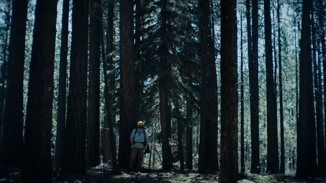 The Hidebehind backdrop