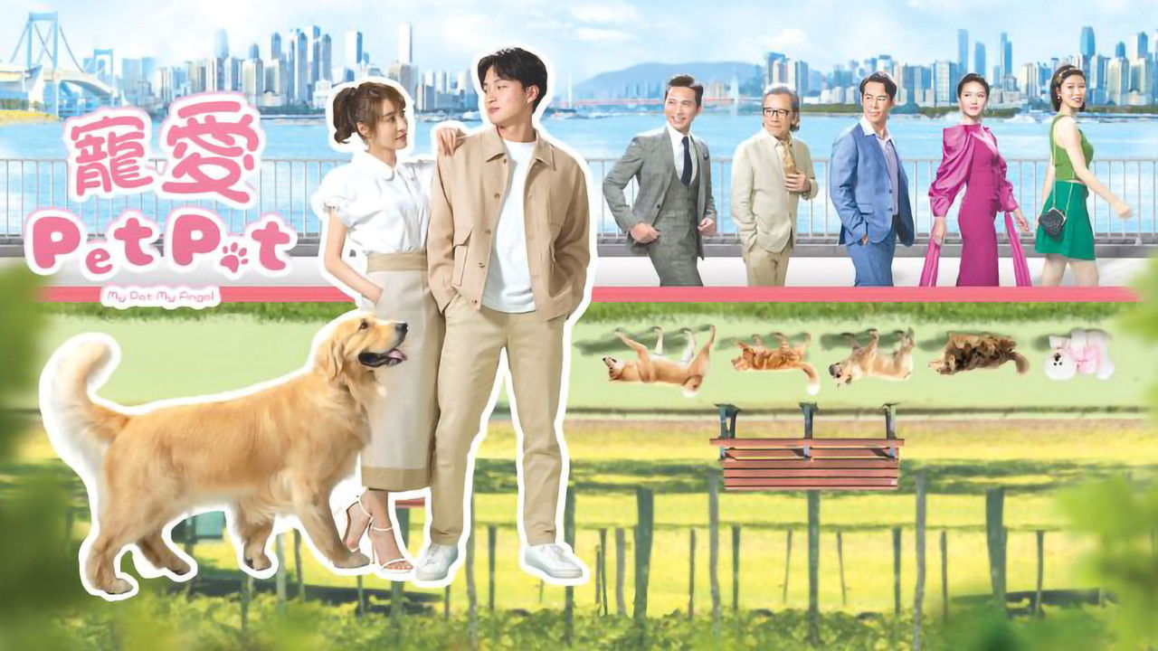 My Pet My Angel backdrop