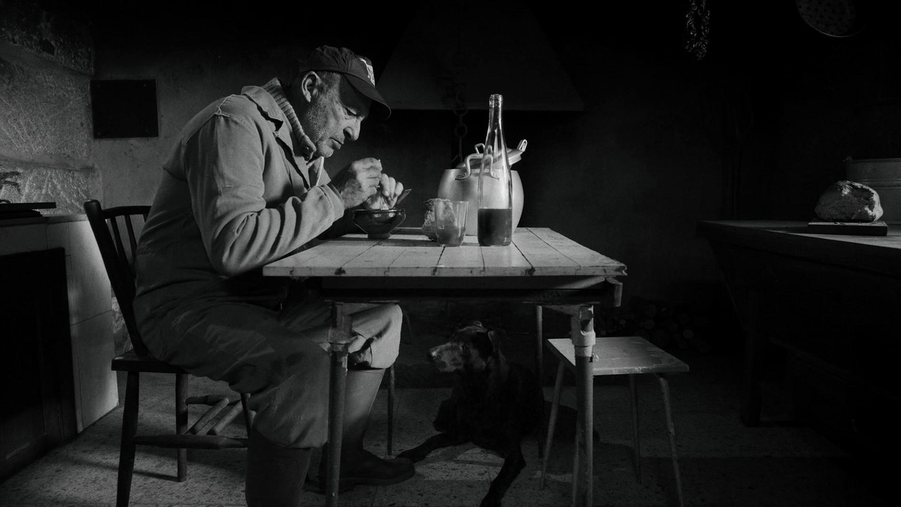 O home e o can backdrop