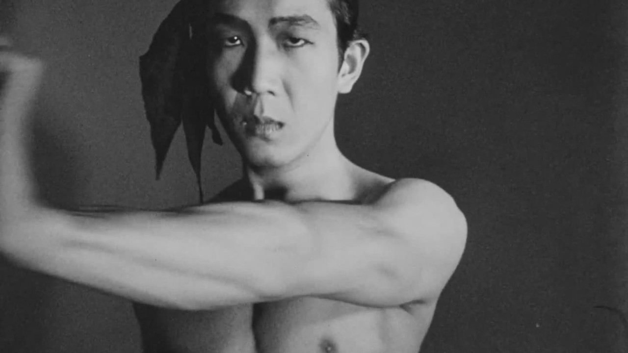 Meditation on Violence backdrop