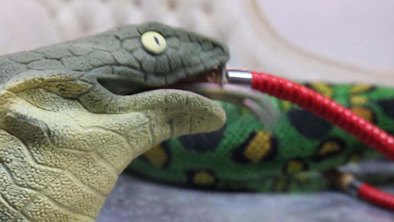 Stoner Snakes backdrop