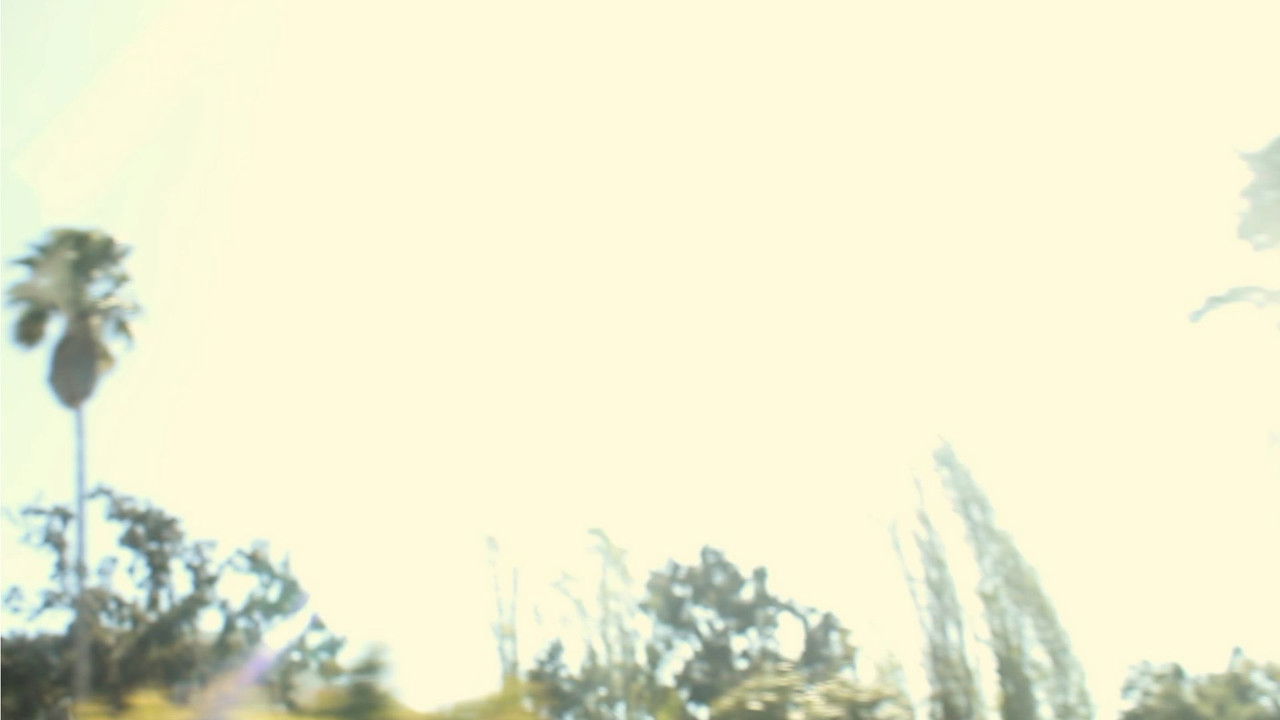 The Backseat Killer backdrop