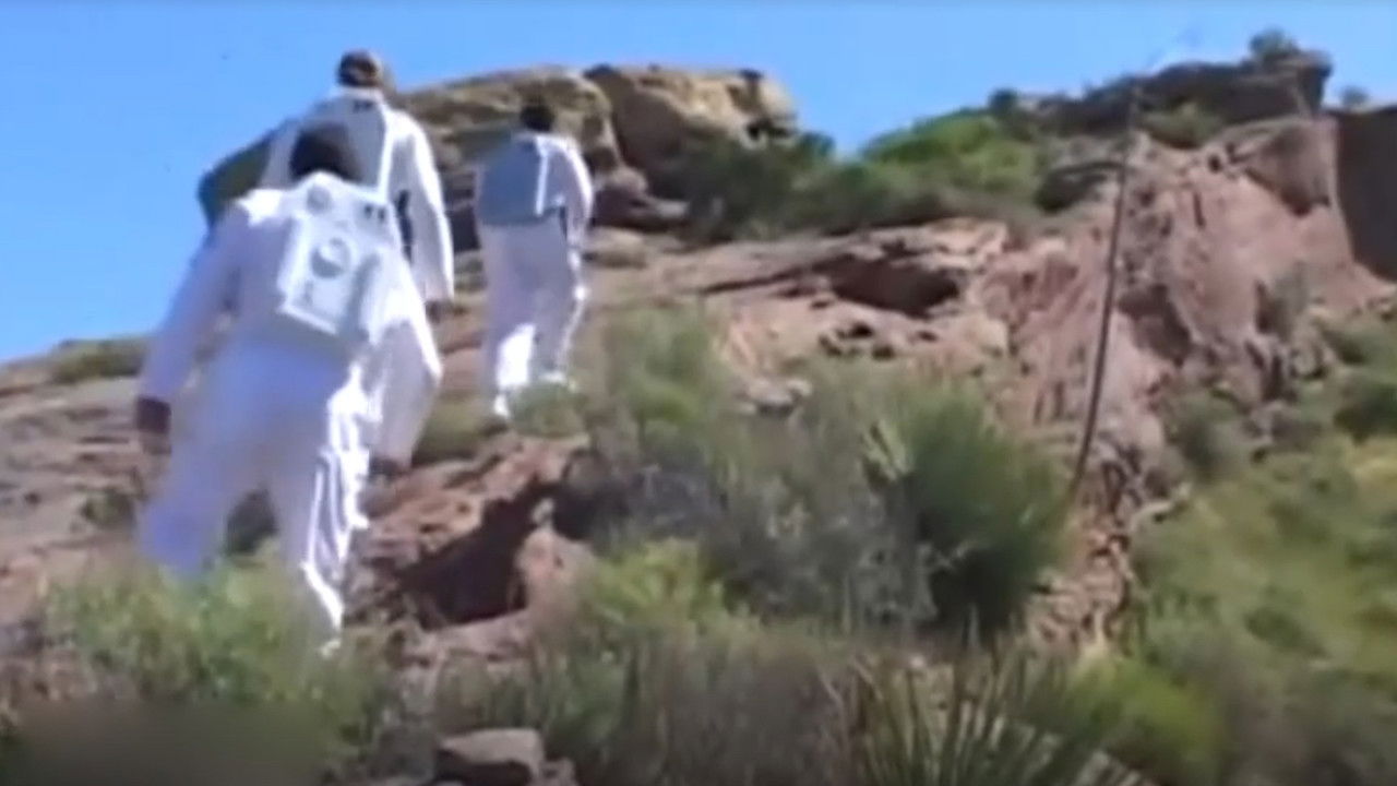 Planet of the Babes backdrop