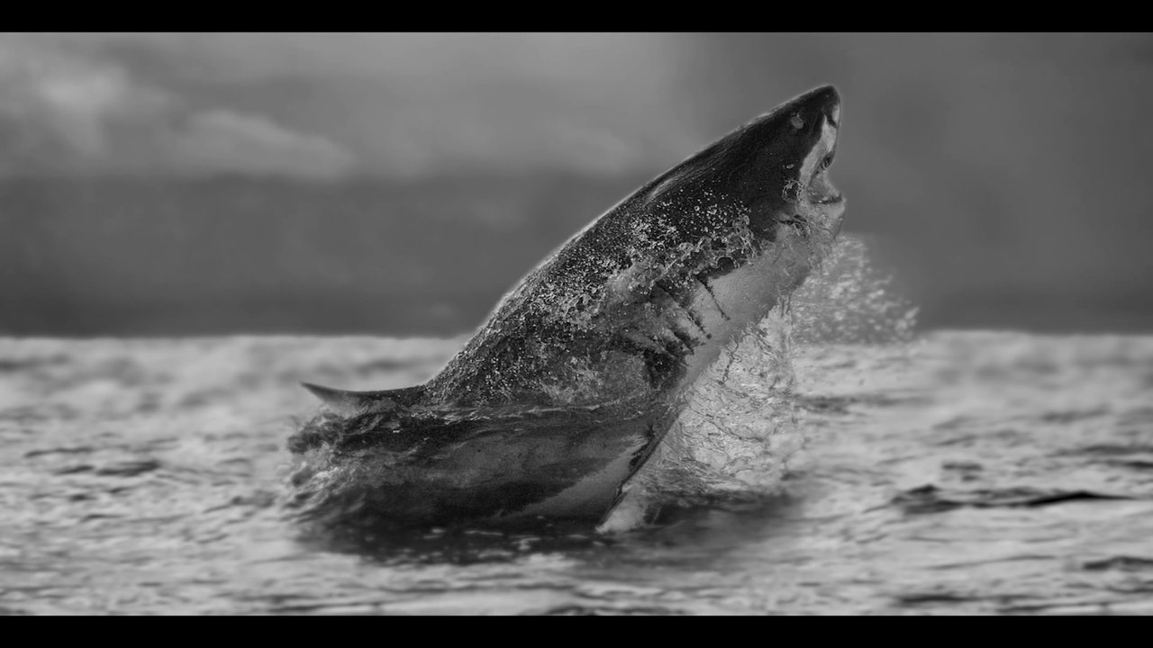 Air Jaws Strikes Back backdrop