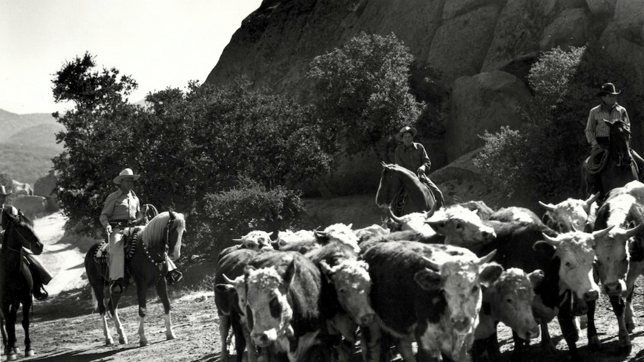 Riders in the Sky backdrop