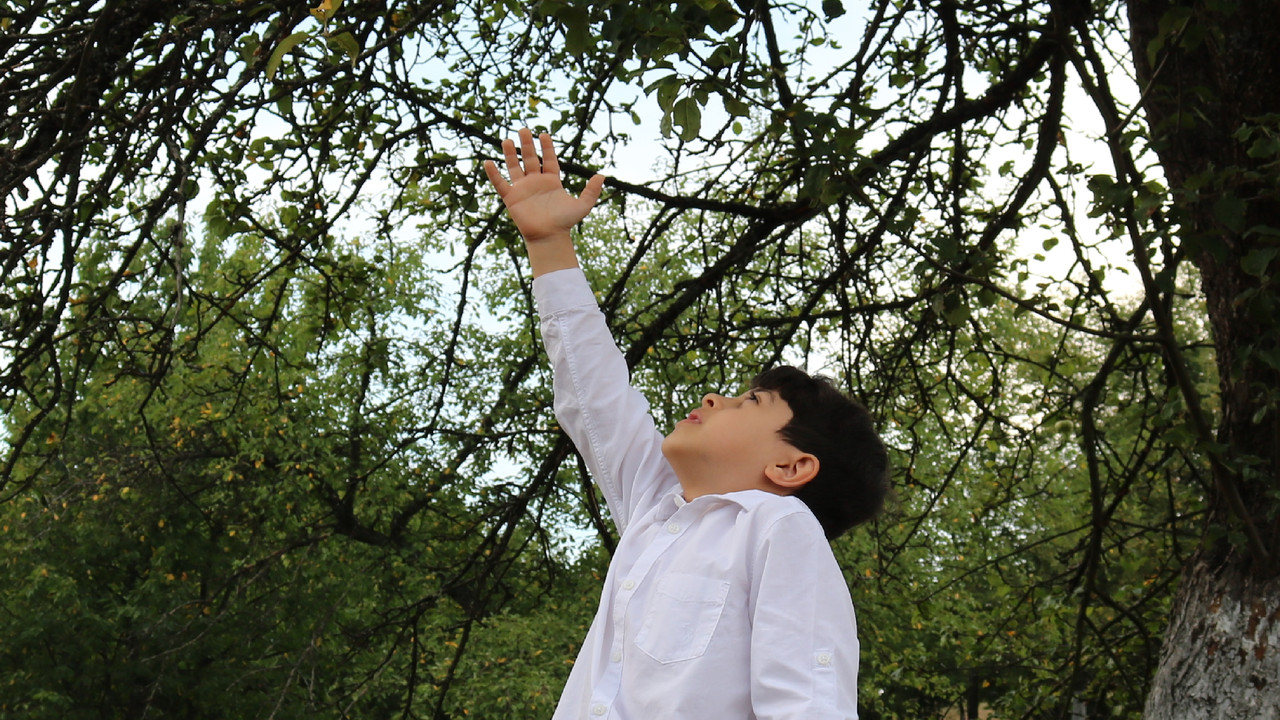 Shadows of Yugoslavia backdrop