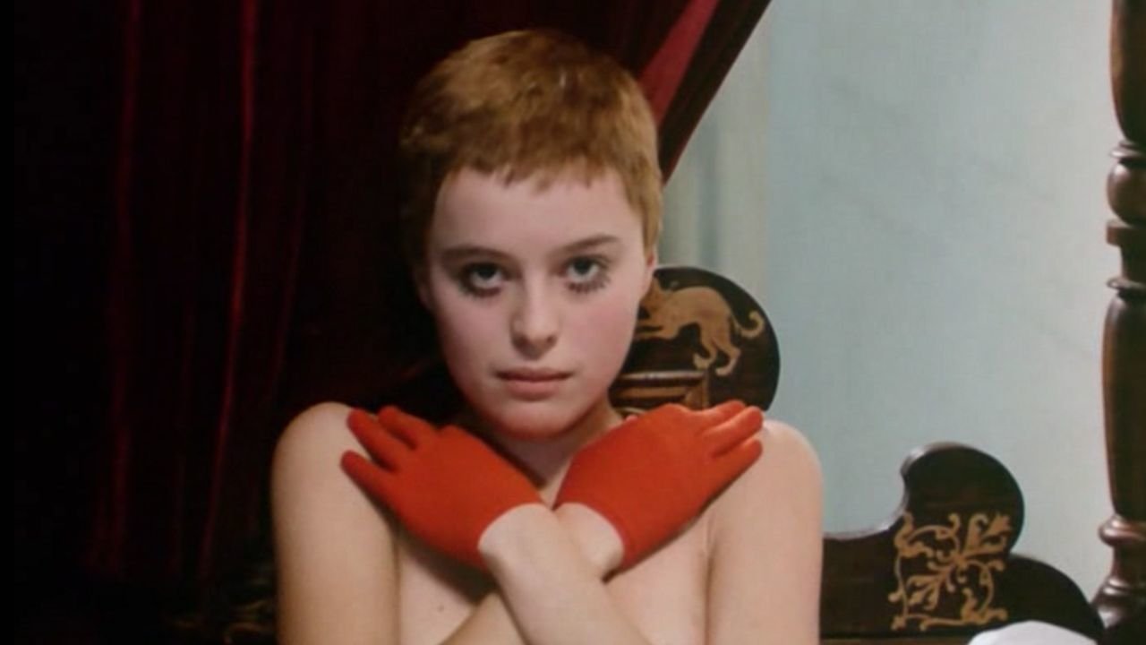 Birds, Orphans and Fools backdrop