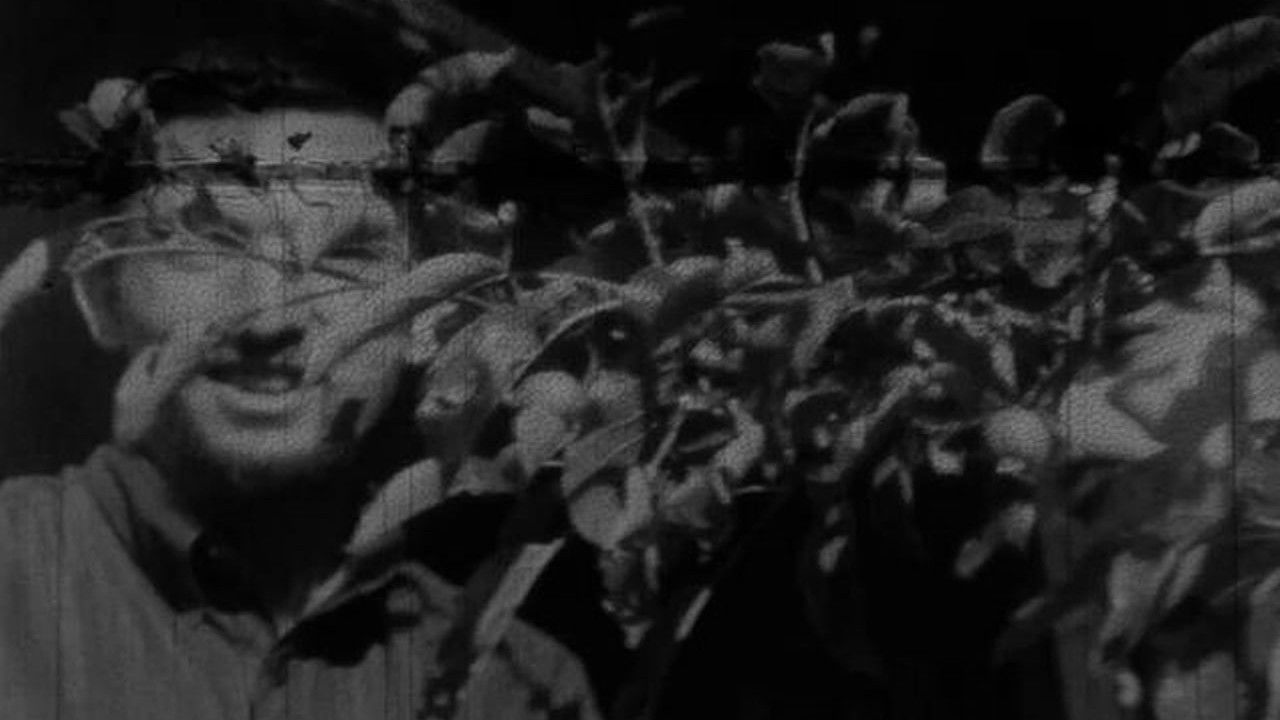 Wintercourse backdrop