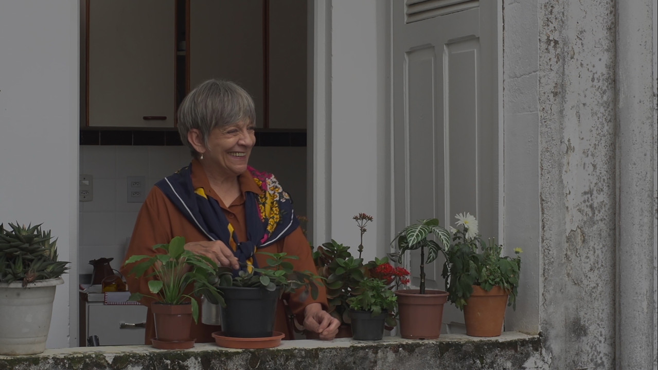 Vista para dias nublados backdrop