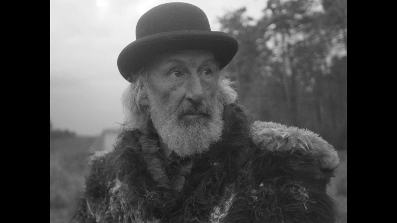 Het was niet koud, het sneeuwde niet backdrop