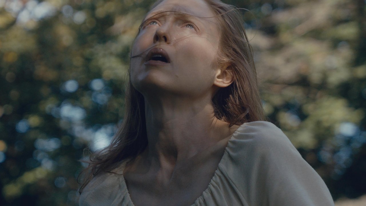 Blood Shine backdrop