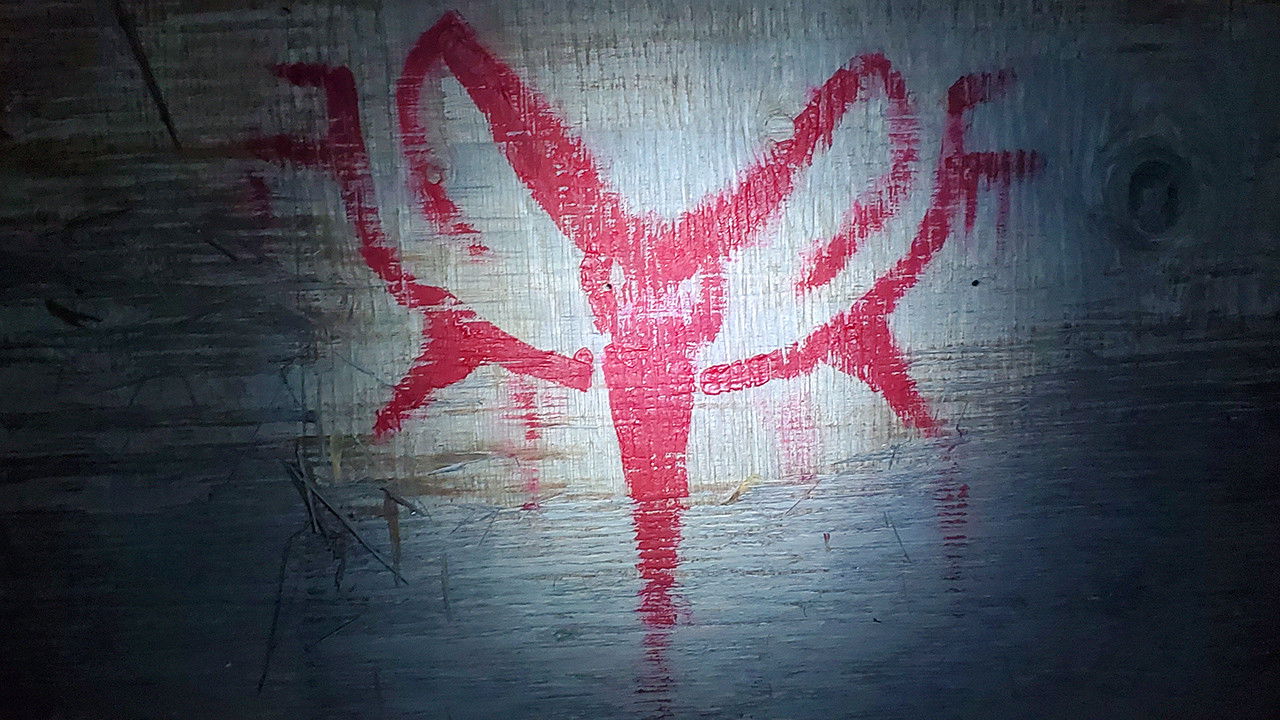 Snow Day '24 backdrop