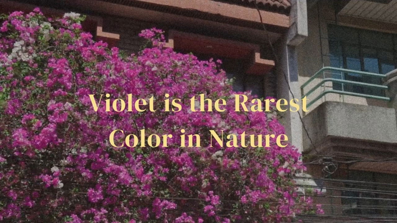 Violet is the rarest color in nature backdrop