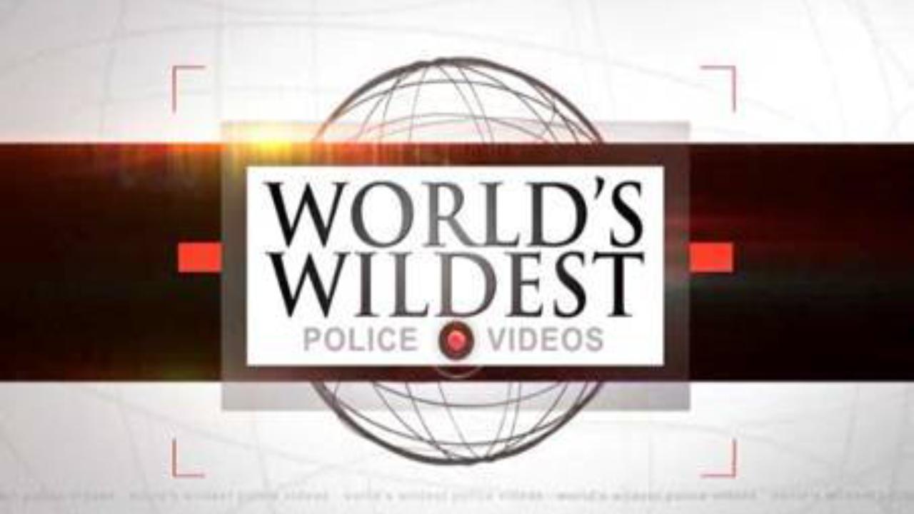 World's Wildest Police Videos backdrop