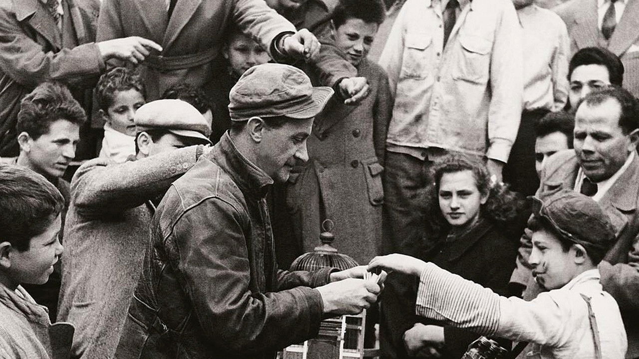 Of Fortune The Written backdrop