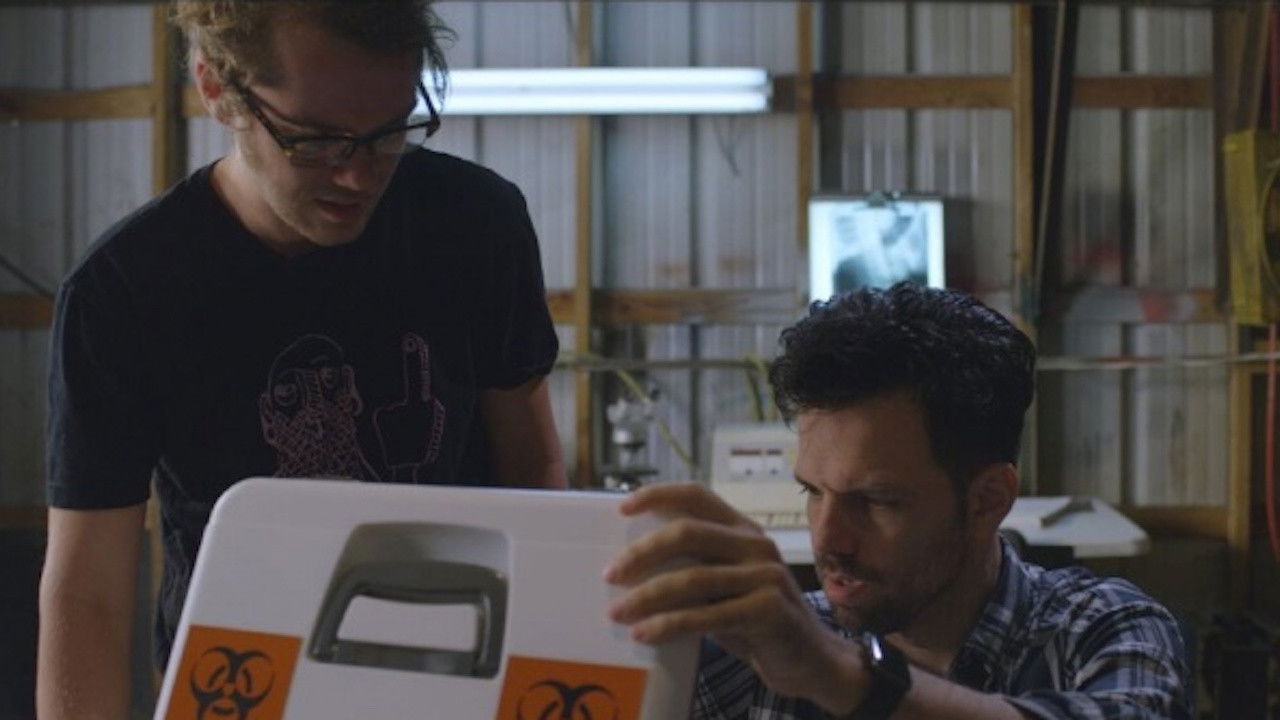 The End of Decay backdrop