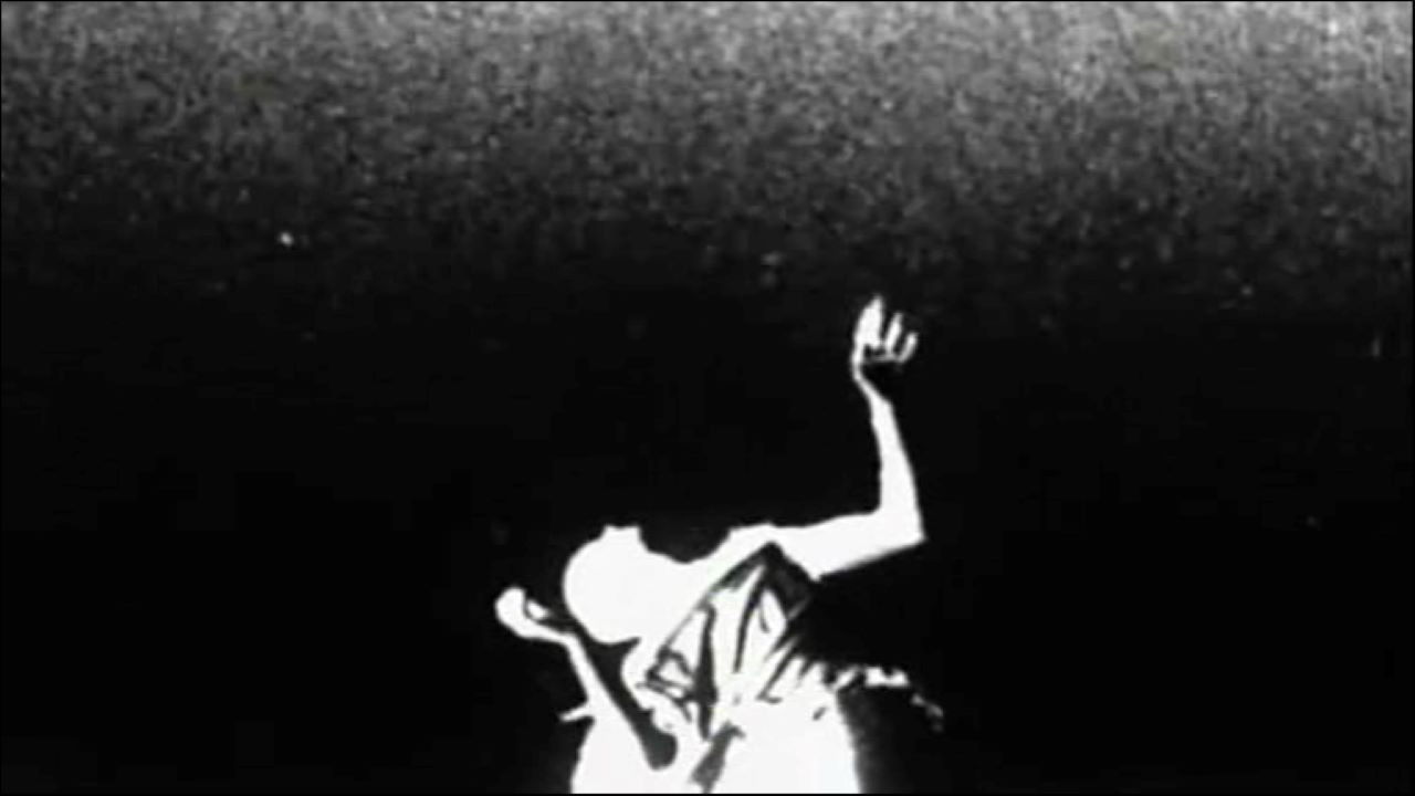 Din of Celestial Birds backdrop