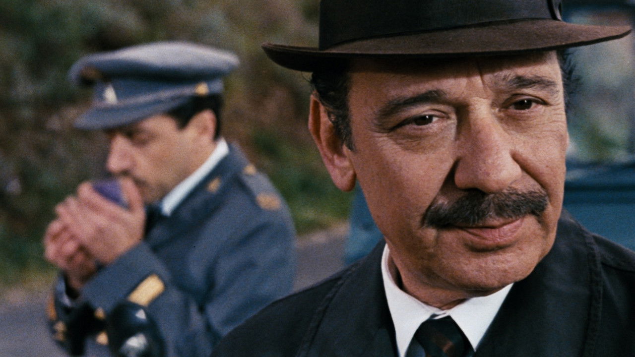 Ballad of Dog Beach backdrop