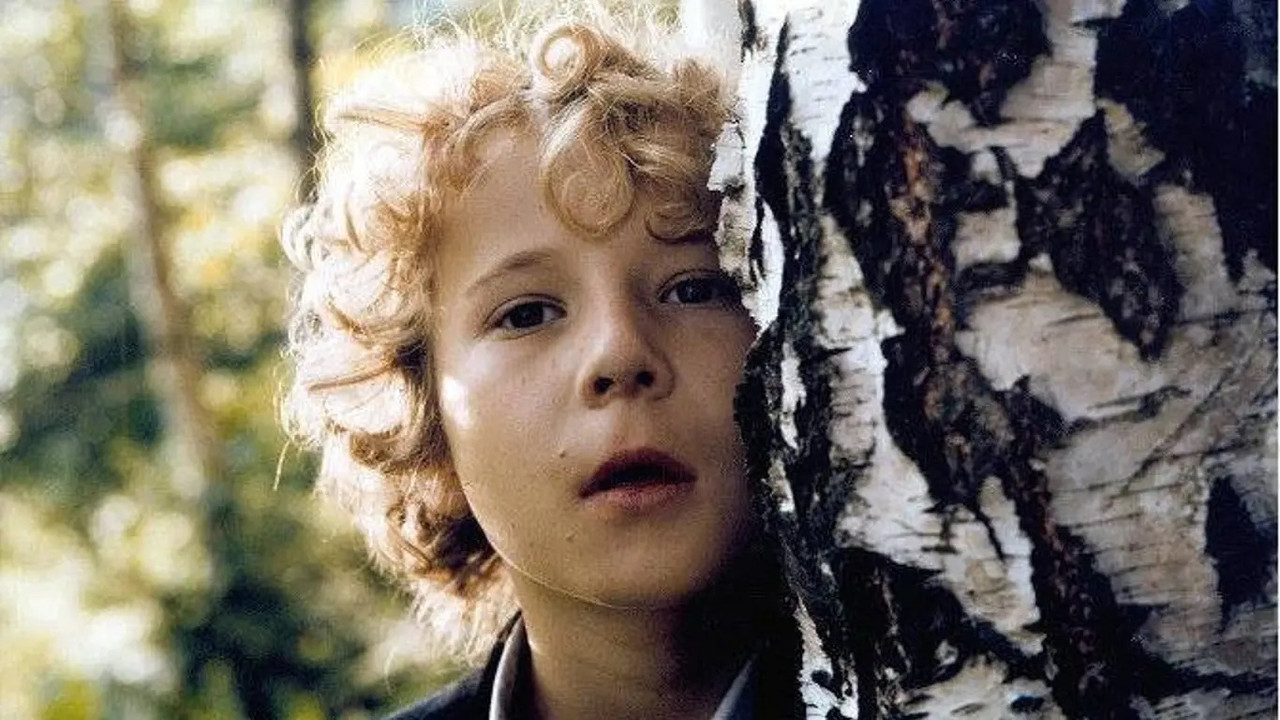 Blinker-Ciko backdrop