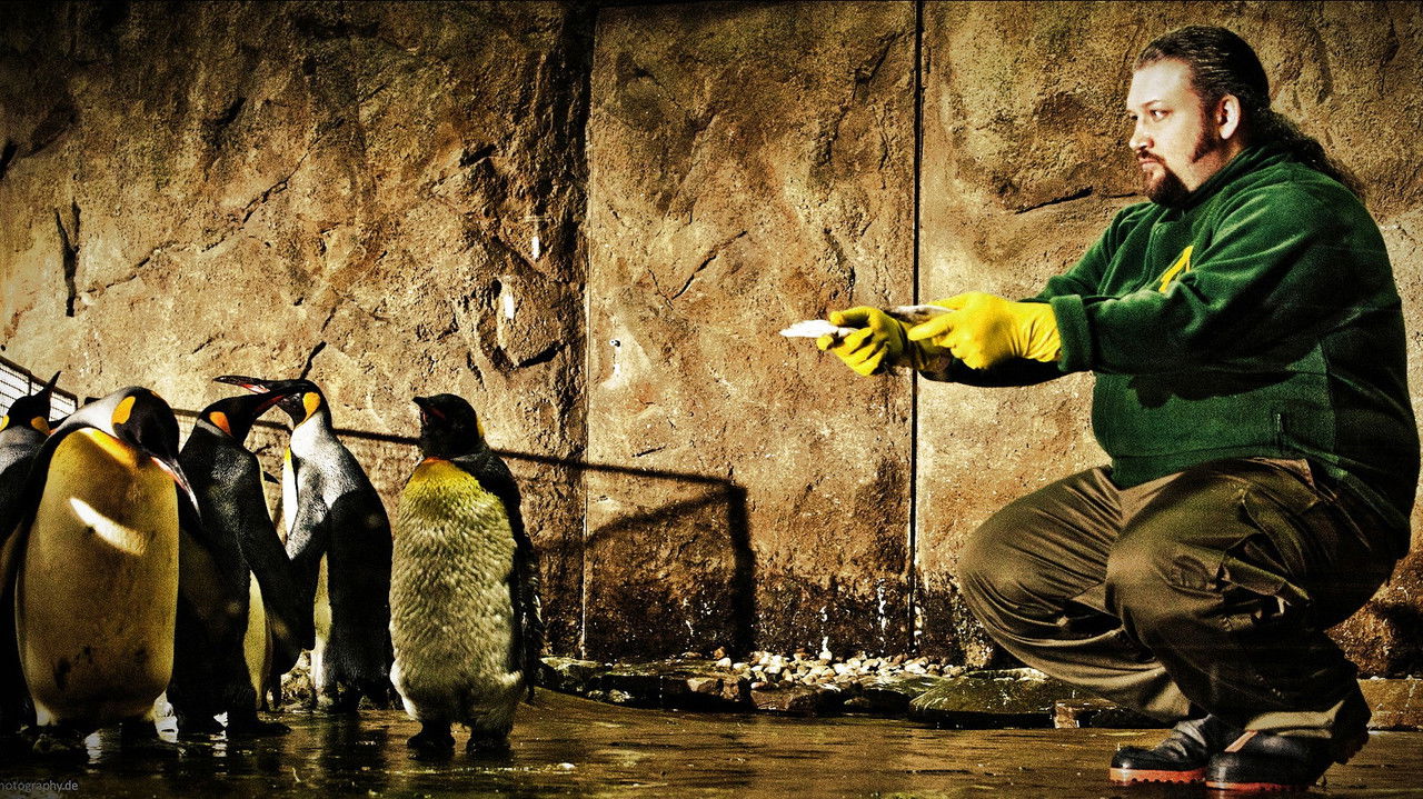 King Ping - Tippen Tappen Tödchen backdrop