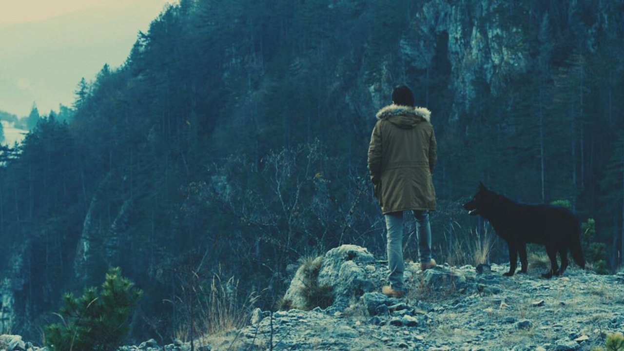 Dogs Die Alone backdrop